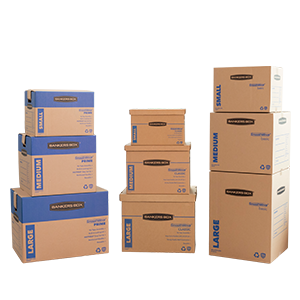 Medium Moving Box