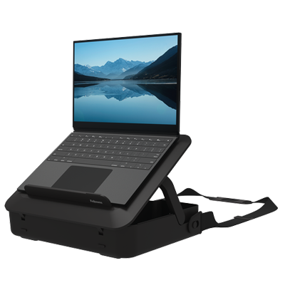 Ergonomic Accessories
