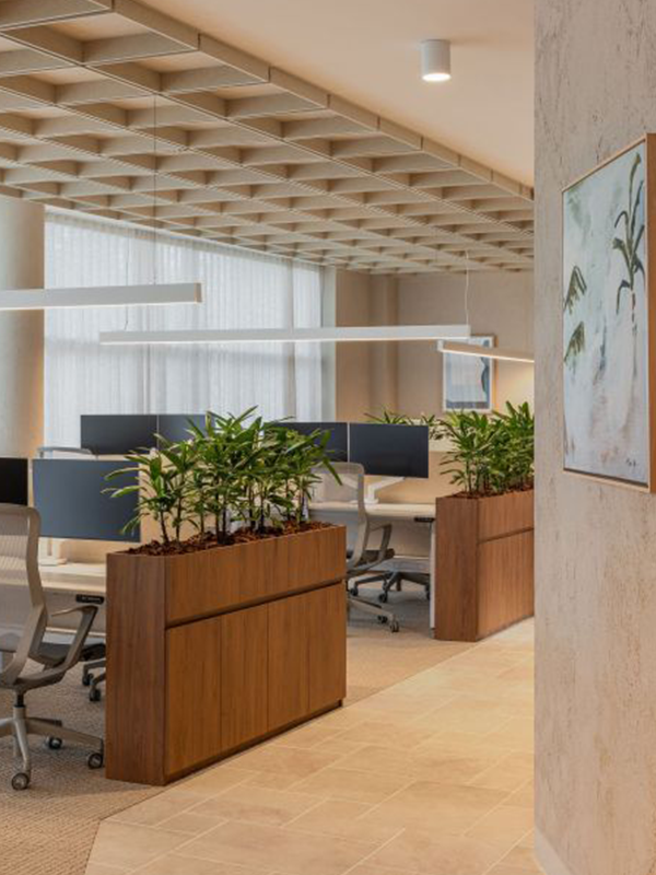 Office Environment