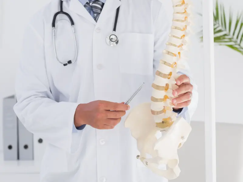 Doctor pointing at a model of a spine