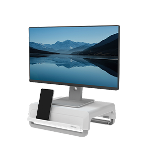 Ergonomic Accessories