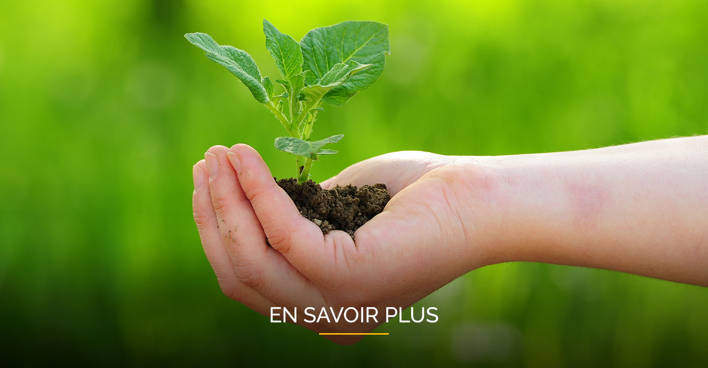 Développement durable chez Fellowes