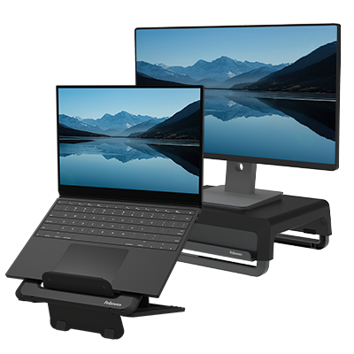 Ergonomic Accessories