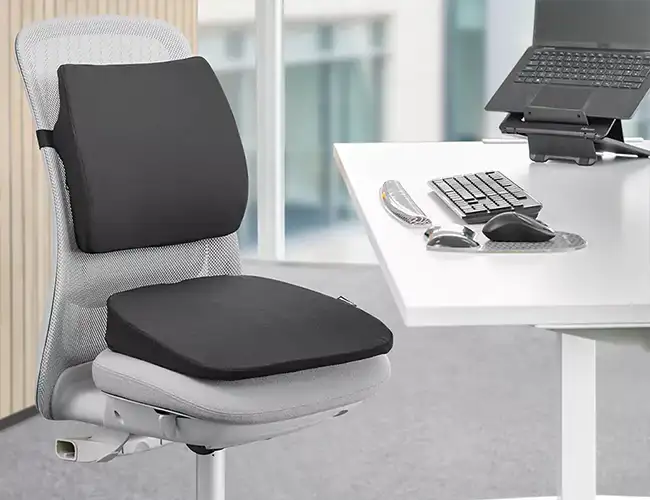 Supports dorsaux et coussins d'assise