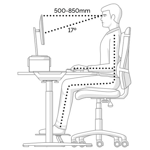 Fellowes Workstation Assessment