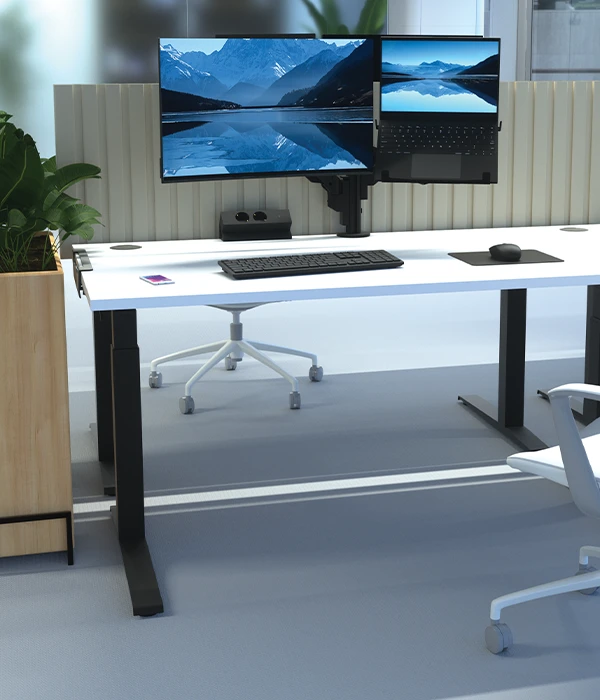 ERGONOMIC ACCESSORIES