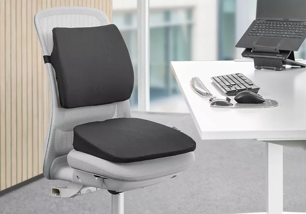 Image of a back rest and seat cushion