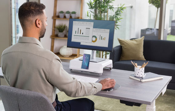 Breyta Monitor Stand
