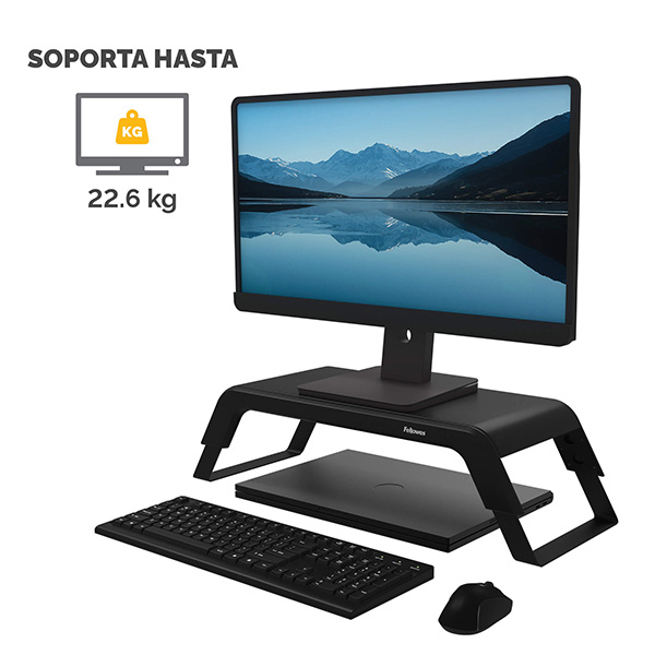 Monitor Stand
