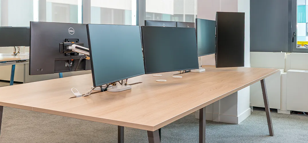 Fellowes Monitor Arms