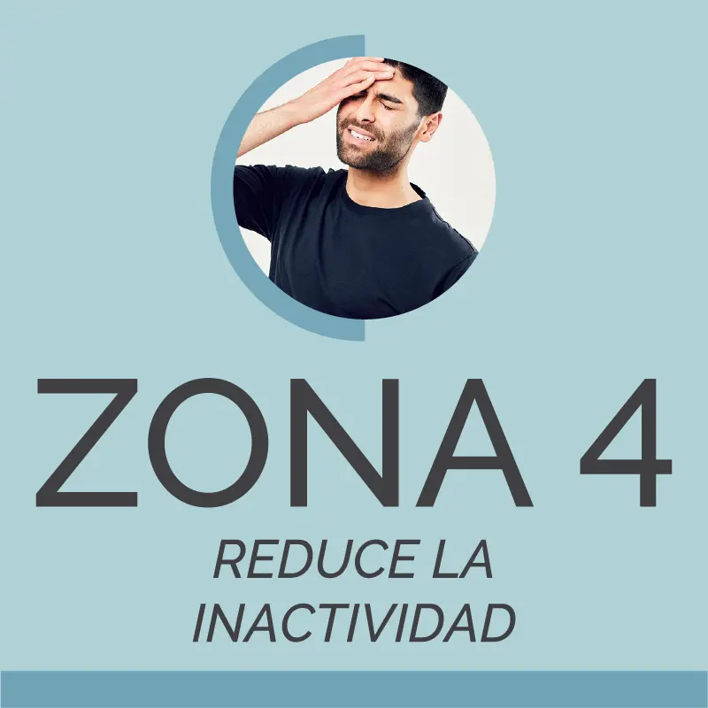 DESCUBRE LA ZONA 4