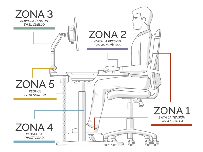 Diagram of all 4 zones pointing to their applicable areas on a seated man at a desk