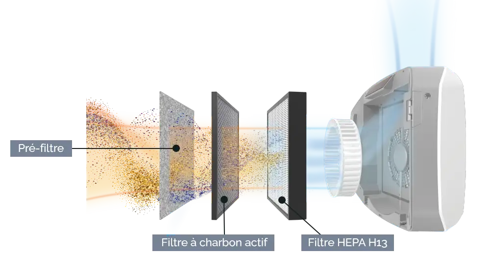 Purifier Airflow In action