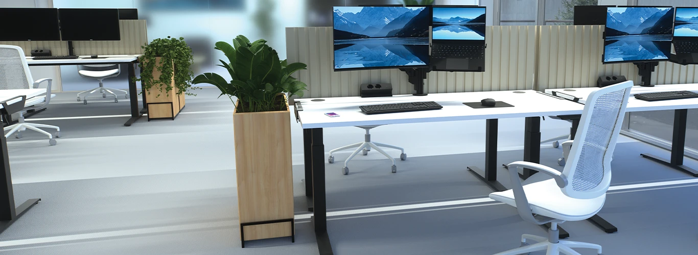 ERGONOMIC ACCESSORIES