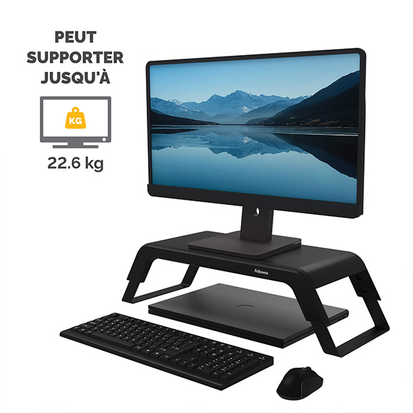 Monitor Stand