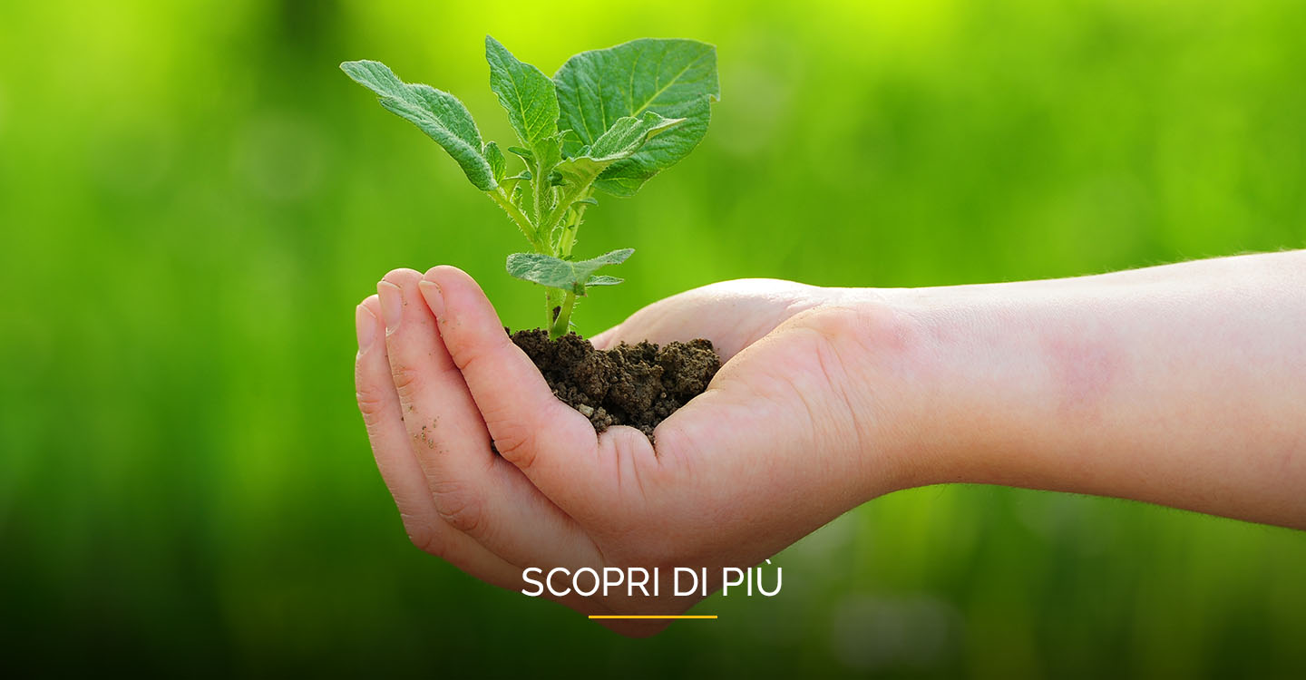 Sostenibilità in Fellowes