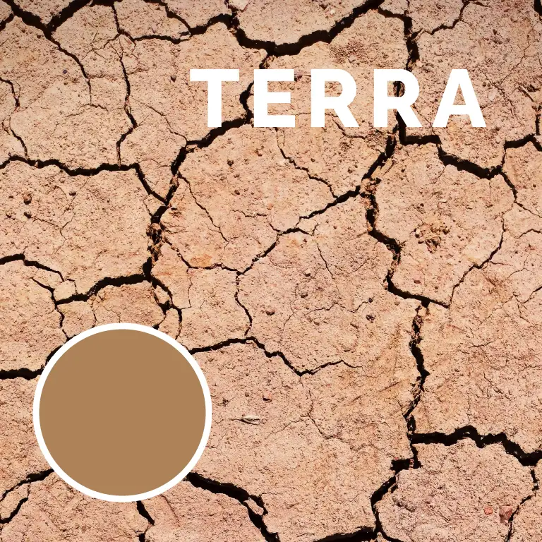 Terra
