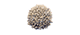 image of a dust particle