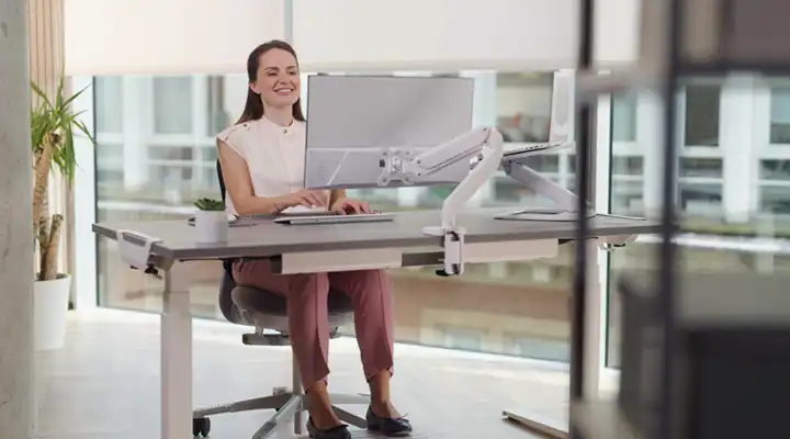 Fellowes Worklife Coach