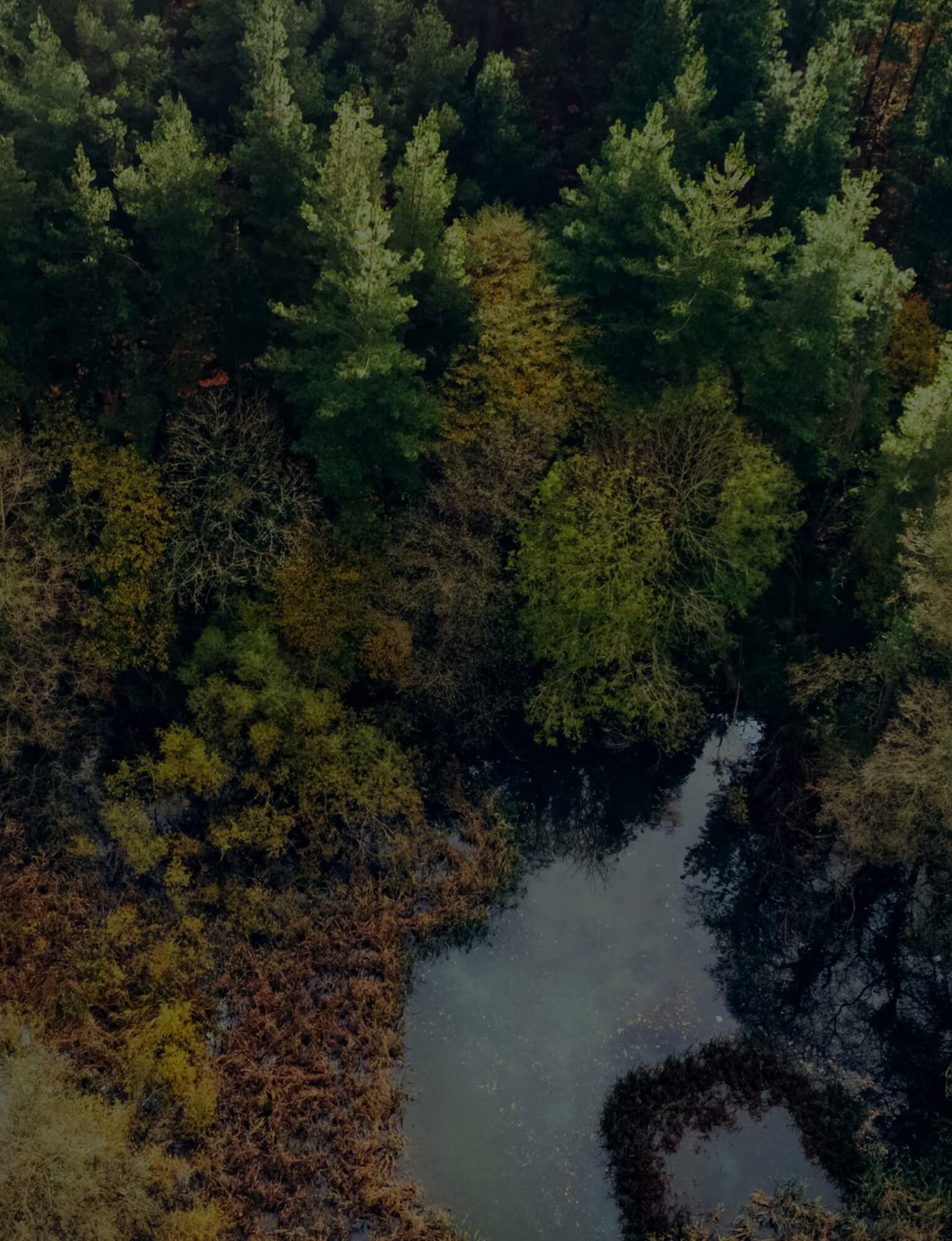 estrada sinuosa através de colinas verdes com um parque de turbinas eólicas à direita