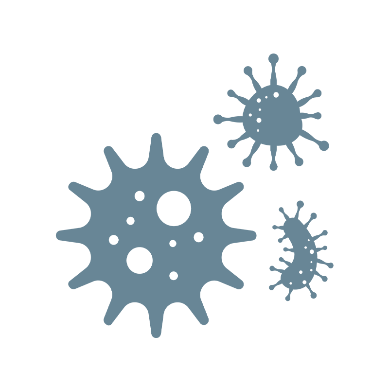 Bacteria Icon