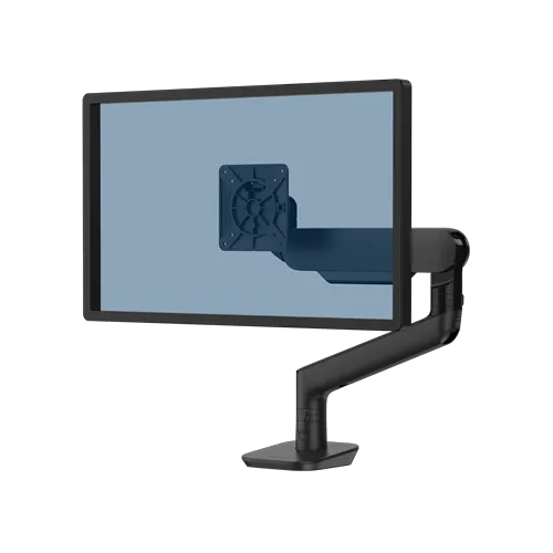 Fellowes Workstation Assessment