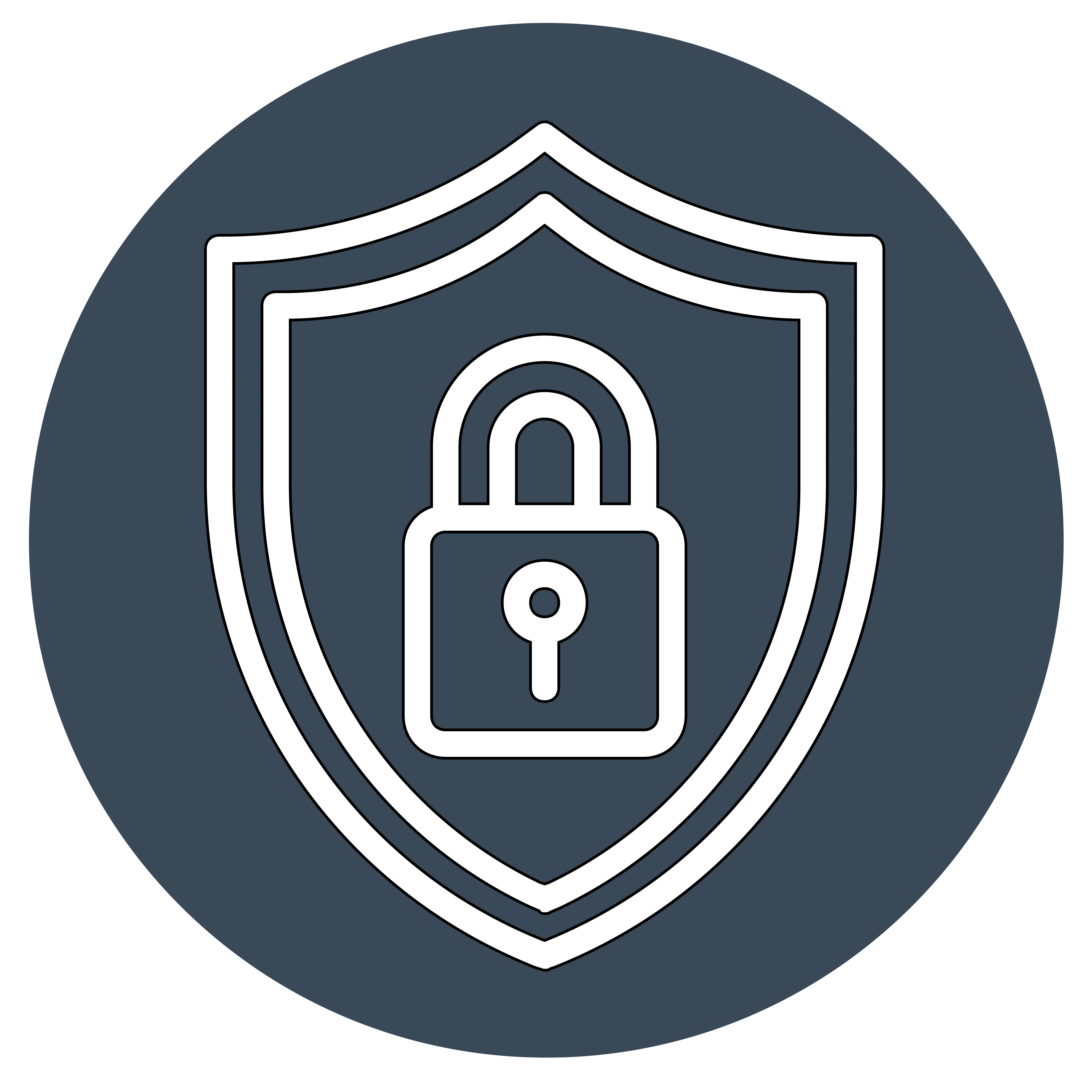 Protect icon