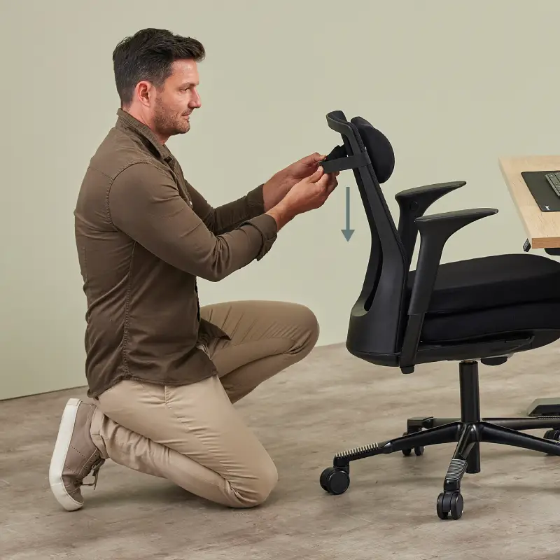 back support