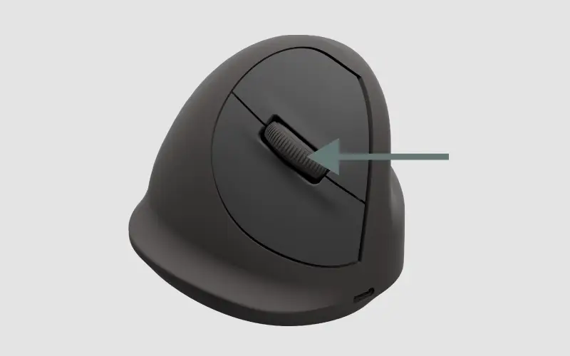 Mouse design features 3