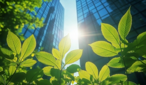 Photo looking up through some buildings at the sun with green plants in the foreground