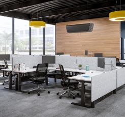 Image of the Array Ceiling hanging in an office space