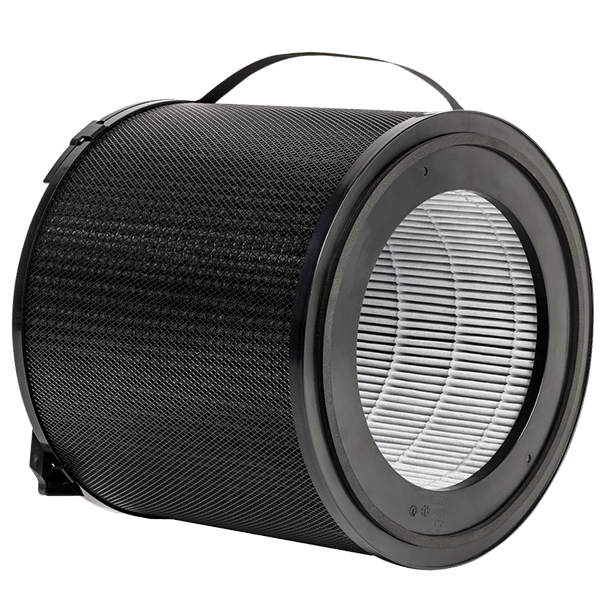 Image of the IAQP Filter