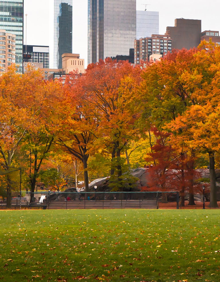 Photo of a fall scene in a park
