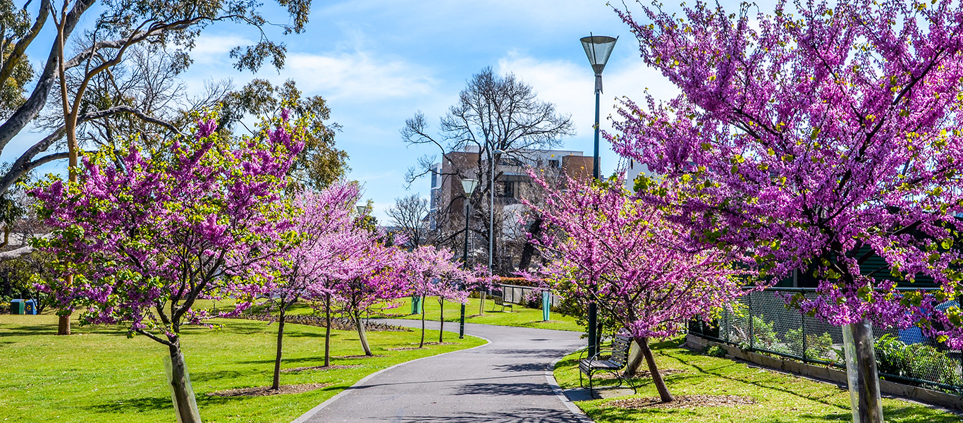 Photo of a spring scene in a park