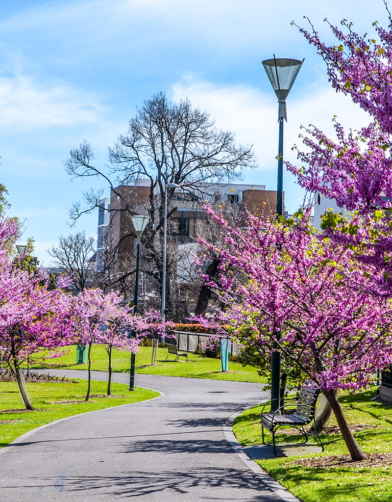 Photo of a spring scene in a park