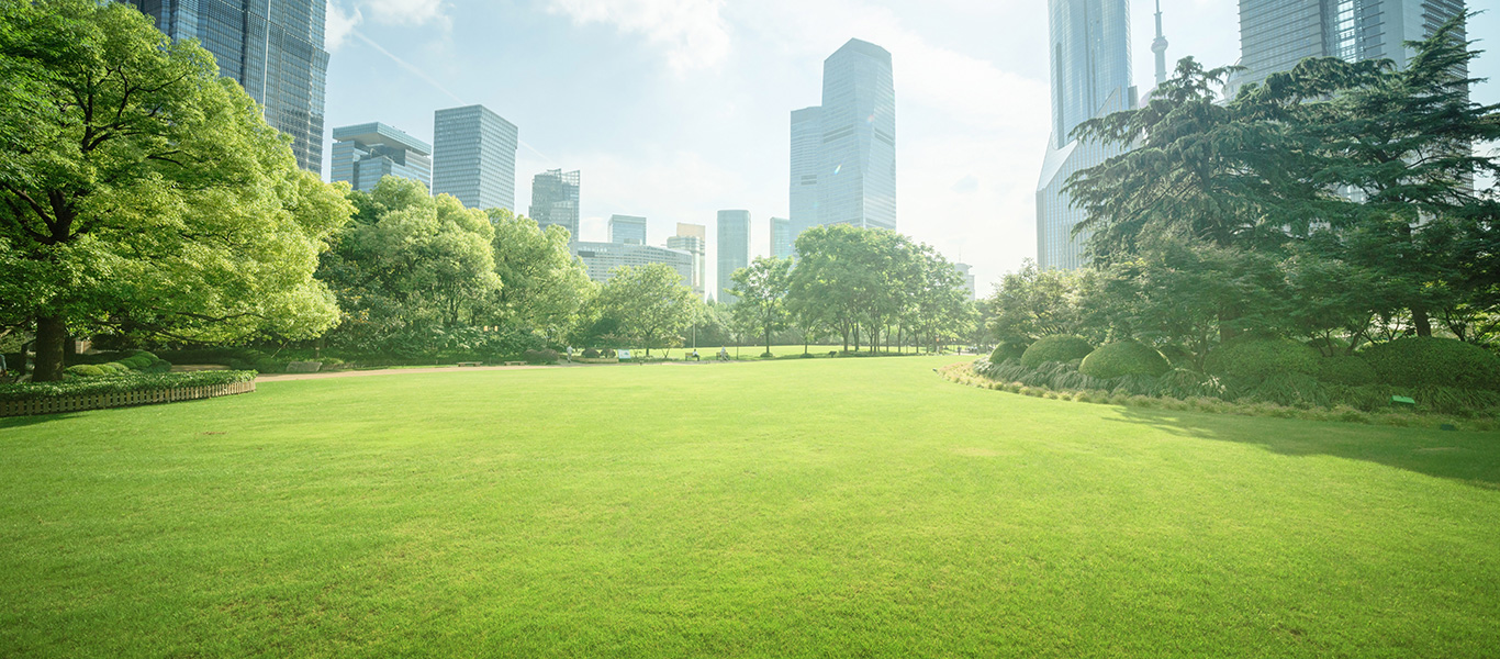 Photo of a summer scene in a park