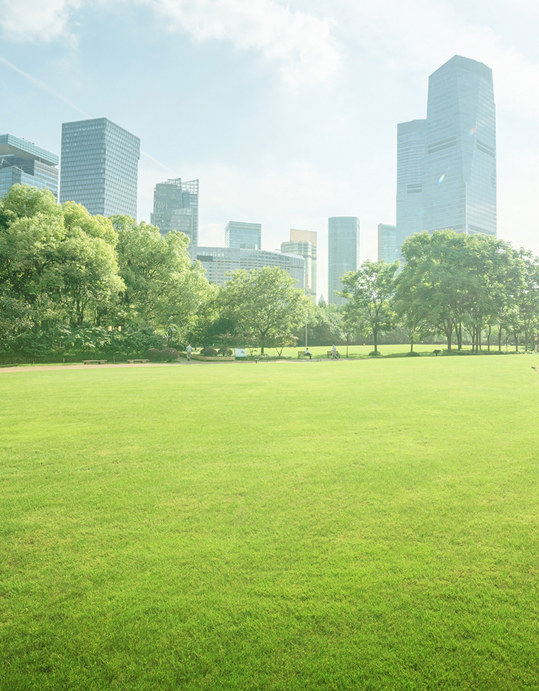 Photo of a summer scene in a park