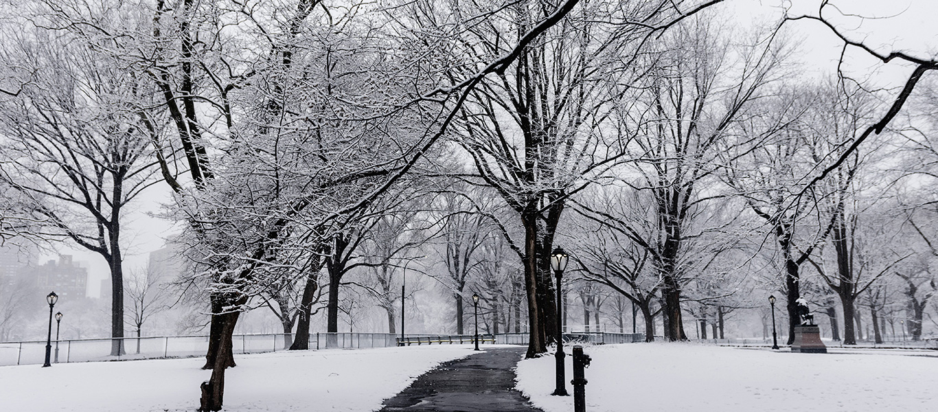 Photo of a wintery scene in a park