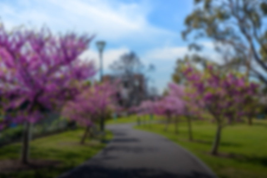 Blurred out image of a spring landscape