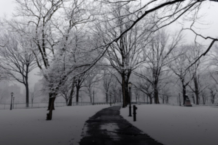 Blurred out image of a winter landscape