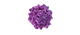 image of a bacterium particle