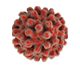 image of a red blood cell particle