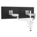 image of a Rising Dual Monitor Arm