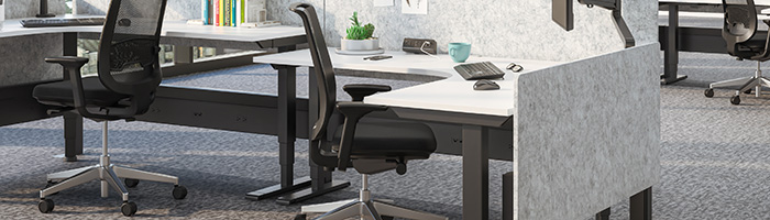 Image of a All-Flex Height Adjustable Table