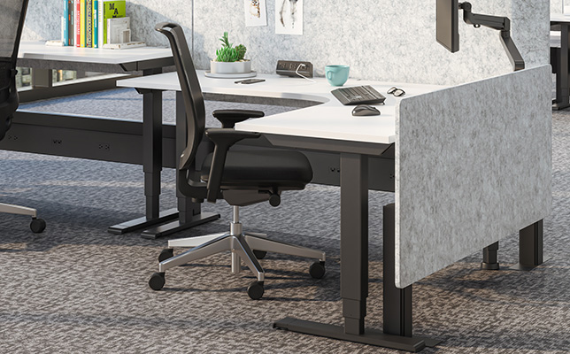 Image of an All-Flex Height Adjustable Table