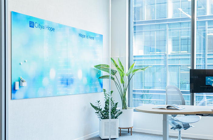 Image of a Markerboard with a custom background hanging on a wall in an office