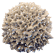 image of a dust particle