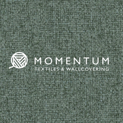 Momentum