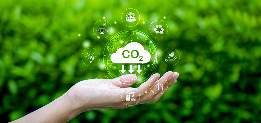Carbon Action